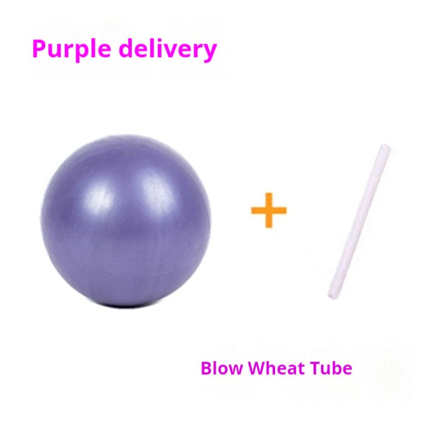 Yoga Pilates Explosion-Proof Ball Exercise Gymnastic Fitness Balance Gym Core Indoor Training Mini Balls Small Therapy Improves